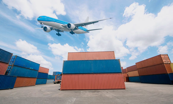 Importers Image